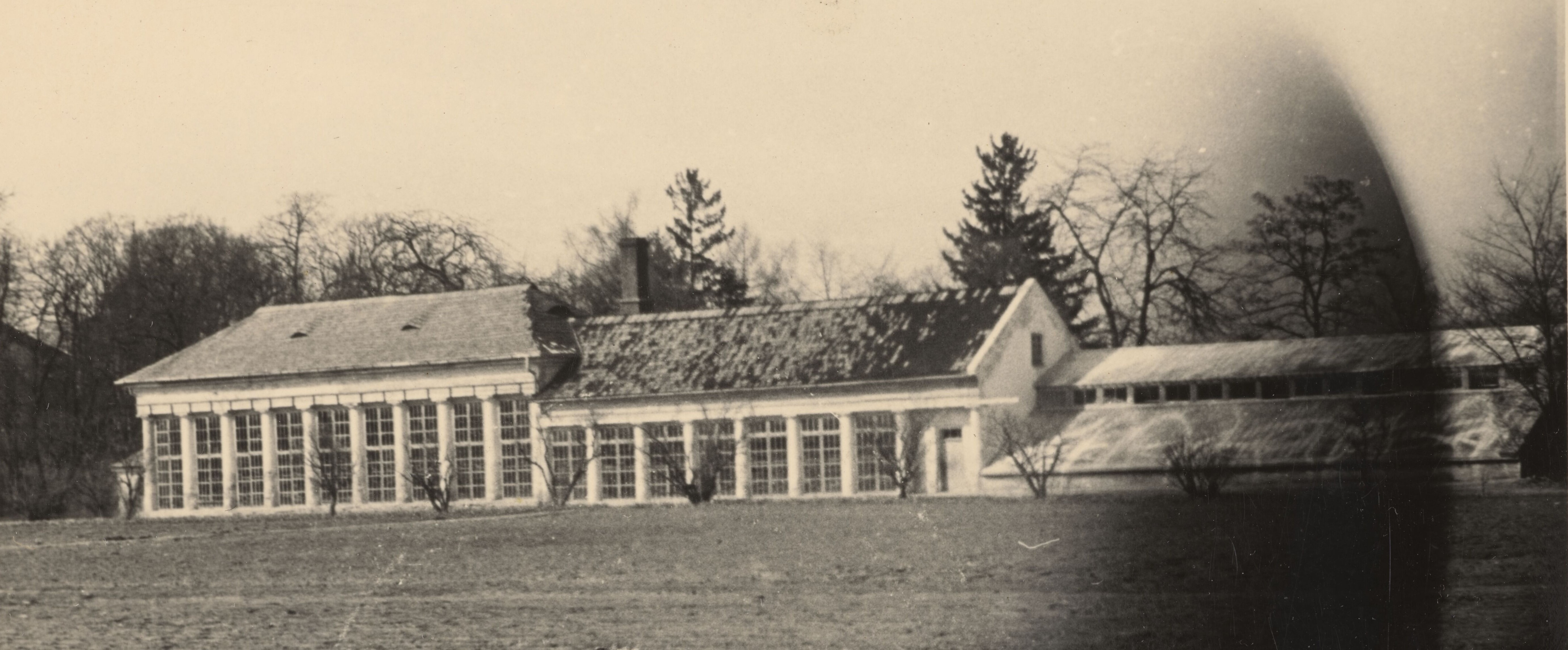 Przeszklony budynek na tle parku, widoczny na starej fotografii, był miejscem uprawy owoców egzotycznych w Nieborowie