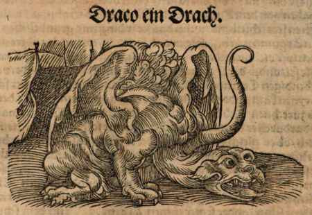 Stara rycina. Przedstawia zwierzę przypominające kształtem smoka.