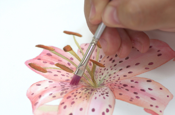 Zajęcia z ilustracji botanicznej, rośliny, farby.