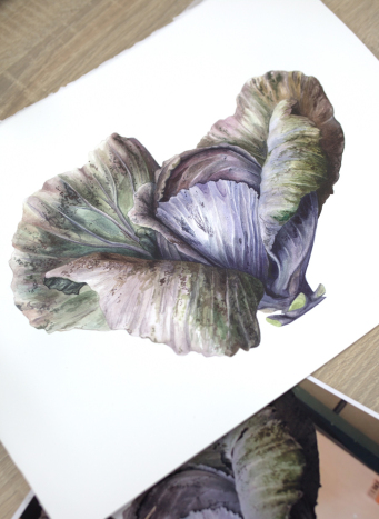 Zajęcia z ilustracji botanicznej, farby, rośliny