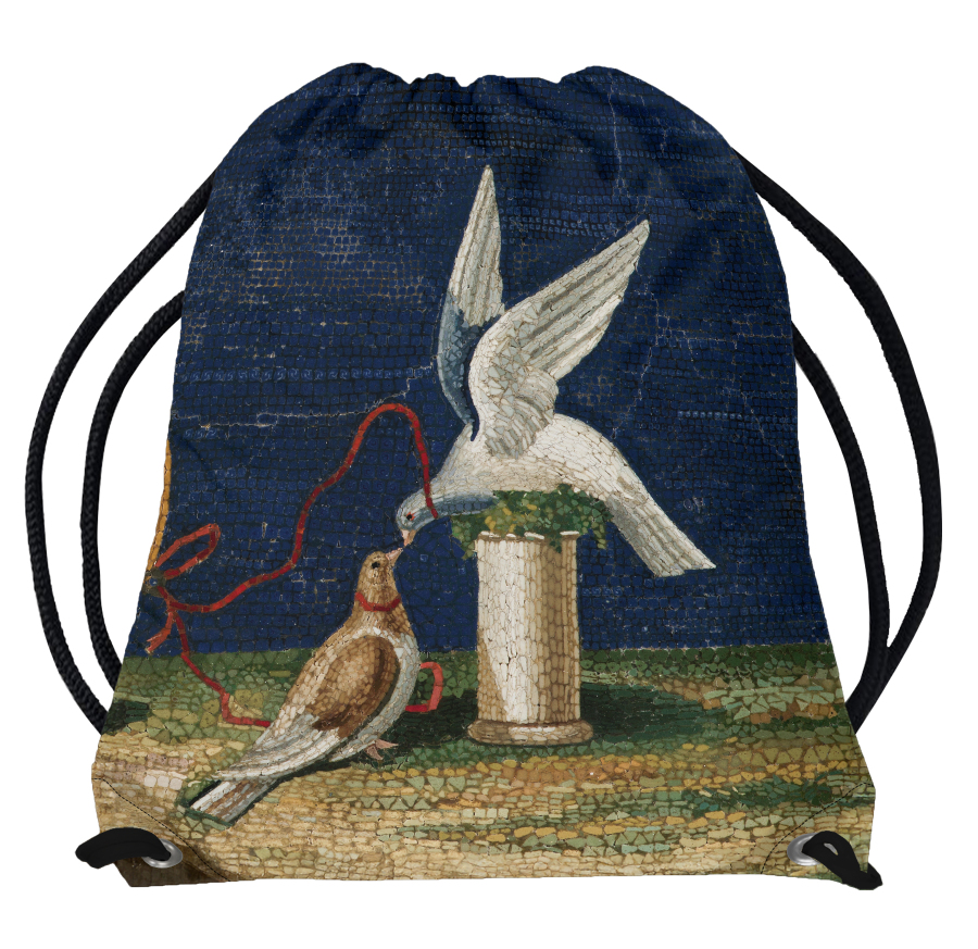 Plecak - worek z motywem gołębi